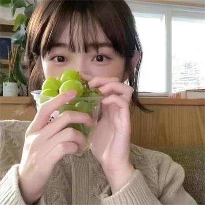 禁止入内的鼹鼠