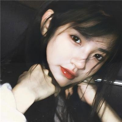 摄影师贝尔蒂与海豚零距离